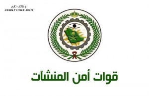 امن المنشات